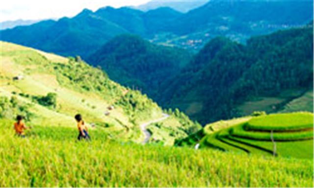Northern Track