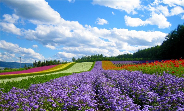 Wonders of Vietnam
