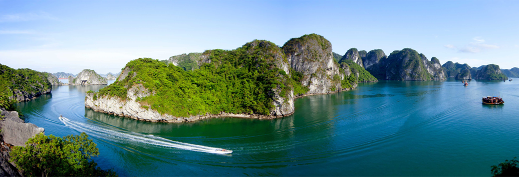 Khai trương 2